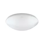 Plafoniera LED LEON LED C 12W NW