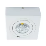 Oprawa sufitowa LED IGOR LED D 9W WHITE NW