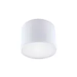 Oprawa sufitowa LED ROLEN LED 7W WHITE NW