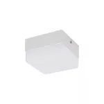 Oprawa sufitowa LED ROBIN LED D 6W NW