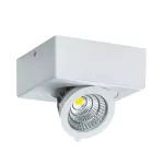 Oprawa sufitowa LED IGOR LED D 6W WHITE NW