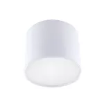 Oprawa sufitowa LED ROLEN LED 10W WHITE NW