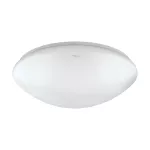 Plafoniera LED LEON LED C 24W NW
