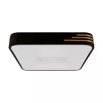 Plafoniera LED LIBRUS LED D 24W NW