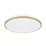 Plafoniera LED LINUS LED C 24W NW