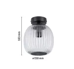 Lampa sufitowa łazienkowa RUYA E14 max.20W IP44 230V czarny matowy / szkło