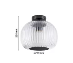 Lampa sufitowa łazienkowa RUYA E27 max.60W IP44 230V czarny matowy / szkło