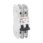 P1MBUH2PC02 Wyłącznik nadprądowy, 2P, charakterystyka C, 2A, 480Y/277V, 10kA, UL489
