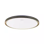 Plafoniera LED FIESTA LED C 24W CCT
