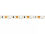 LED line Taśma 600 SMD 12V 11000K 9,6W