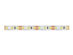 LED line Taśma 600 SMD 12V żółta 9,6W