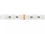 LED line Taśma 300 SMD 24V 6500K RGBW 19,2W