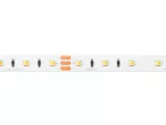 LED line Taśma 300 SMD 24V 3000-6500K 9,6W MULTIWHITE