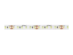 LED line Taśma 600 SMD 24V 6000K 14,4W