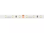 LED line Taśma 300 SMD 24V 6500K 4,8W IP65