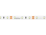 LED line Taśma 300 SMD 12V 6500K 4,8W