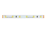 LED line Taśma 300 SMD 24V 4000K 4,8W