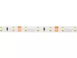 LED line Taśma 300 SMD 12V 6500K 4,8W IP65