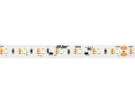 LED line Taśma 700 SMD 24V 1600-6500K 12W DIM