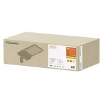 Oprawa STREETLIGHT FLEX LARGE RV25ST P 110W 727 WAL