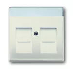 1800-92-507 POKRYWA Z POLEM OPISOWYM DO 2 ZŁĄCZY MODULAR JACK Z PRZYSŁONAMI | Basic55 kremowy