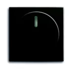 2115-95-507 POKRYWA Z POKRĘTŁEM I LAMPKĄ NEONOWĄ DO ŚCIEMNIACZY BUSCH-DIMMER. | Basic55 czarny château