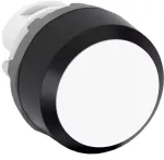 MP2-10W przycisk kryty bistabilny biały