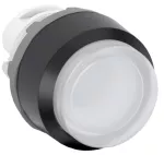 MP4-11C przycisk wypukły bistabilny przezroczysty podświetlany