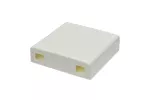 Gniazdo optyczne FTTH 2F BOX-2C (2xSC)