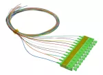 Pigtail SC/APC SM 2m 12-kolorowy LSZH G.657A1, 0,9mm