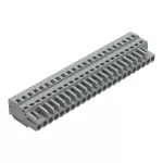 1-przewodowe gniazdo CAGE CLAMP®, szara 231-123/026-000