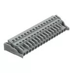 1-przewodowe gniazdo CAGE CLAMP®, szara 231-116/037-000