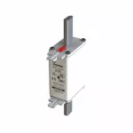 20NHG01B Wkładka NH01 20A 500V GL/GG podwójny wskaźnik