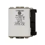 170M4391 Wkładka szybka, 315 A, AC 1250 V, size 1, 53 x 69 x 74 mm, aR, IEC, UL
