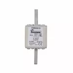 170M3619 Wkładka szybka, 400 A, AC 690 V, compact size 1, 45 x 45 x 110 mm, aR, IEC, UL