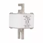 170M5013 Wkładka szybka, 700 A, AC 690 V, DIN 2, aR, DIN, IEC, pojedynczy wskaźnik, nieizolowane uchwyty