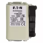 170M3391 Wkładka szybka, 100 A, AC 1250 V, compact size 1, 45 x 59 x 75 mm, aR, IEC, UL