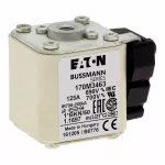 170M3463 Wkładka szybka, 125 A, AC 690 V, compact size 1, 45 x 59 x 51 mm, aR, IEC, UL