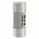 FWP-100G22FI Wkładka szybka, 100 A, AC 690 V, 22 x 58, gR, IEC, UL, wybijak