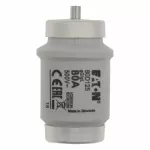 80D125 Wkładka DIV 80A T GL/GG 500VAC E125
