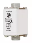 170M2719 Wkładka szybka, 315 A, AC 690 V, rozmiar 00, 30 x 48 x 64 mm, aR, IEC, wskaźnik optyczny