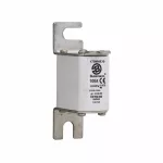 170M4830 Wkładka szybka, 100 A, AC 1000 V, size 00, 30 x 47 x 98 mm, aR, DIN, IEC, wskaźnik T