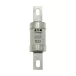 100L09C Wkładka bezpiecznikowa, 100 A, AC 600 V, DC 250 V, HRCII-MISC, 21 x 127 mm, gL/gG, CSA