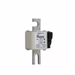 170M3112 Wkładka szybka, 100 A, AC 690 V, compact DIN 1, 45 x 59 x 104 mm, aR, DIN, IEC