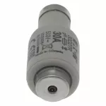 30D27R Wkładka DII 30A F GR 500VAC E27