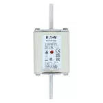 170M5817D Wkładka szybka, 1100 A, AC 690 V, DIN 2, aR, DIN, IEC, podwójny wskaźnik, nieizolowane uchwyty