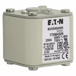 170M4509 Wkładka szybka, 250 A, AC 690 V, size 1, 53 x 69 x 51 mm, aR, IEC, UL, wskaźnik, flush end, 18 UNC