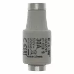 30D27R Wkładka DII 30A F GR 500VAC E27