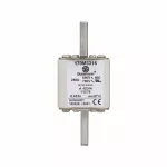 170M3316 Wkładka szybka, 250 A, AC 690 V, compact size 1, 45 x 59 x 102 mm, aR, IEC, UL, wskaźnik optyczny