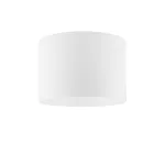 Adapter natynkowy do opraw downlight DL28/38W